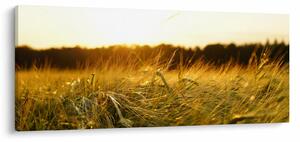 Tablou iarba cu rouă (120x50 cm)