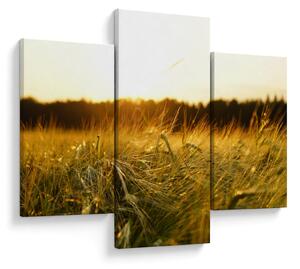 Tablou iarba cu rouă (90x60 cm)