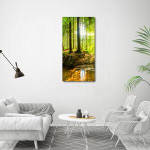 Tablou canvas Soare în pădure