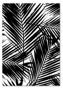 Tablou pe sticlă acrilică frunze de palmier