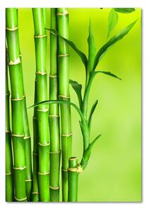 Fotografie imprimată pe sticlă Bambus