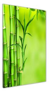 Tablou pe acril Bambus