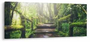 Tablou - trepte din lemn în pădure (120x50 cm)