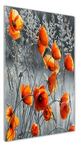 Fotografie imprimată pe sticlă wildflowers maci