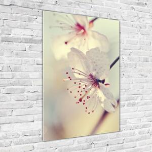 Tablou sticlă flori de cireș