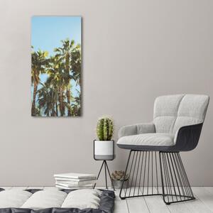 Imprimare tablou canvas palmieri
