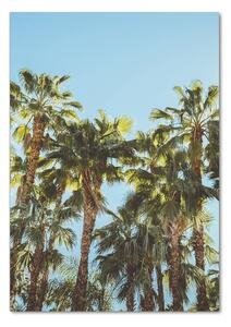 Tablou din Sticlă palmieri