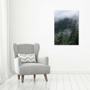 Fotografie imprimată pe sticlă Ceață peste pădure