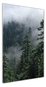 Tablou pe sticlă acrilică Ceață peste pădure
