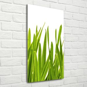 Imagine de sticlă iarbă verde