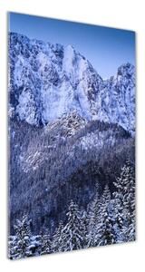 Tablou Printat Pe Sticlă Tatra Munții Giewont