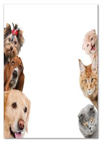 Imagine de sticlă Câini și pisici