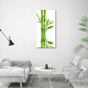Pictură pe pânză Bambus
