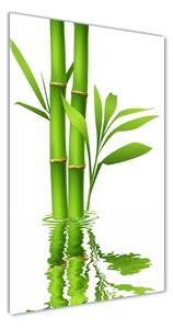 Tablou acrilic Bambus