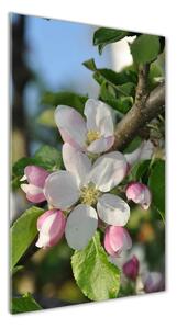 Tablou pe acril flori de cireș