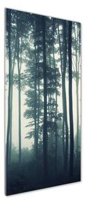 Tablou Printat Pe Sticlă Ceață în pădure