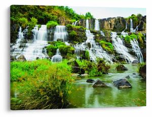 Tablou - cascade cu plante (70x50 cm)