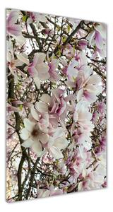 Tablou sticlă flori magnolia
