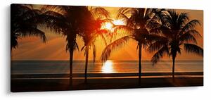 Tablou cu palmier în apus de soare (120x50 cm)