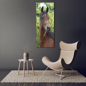 Imagine de sticlă Portret de un cal