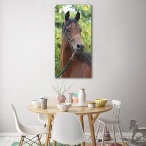 Imagine de sticlă Portret de un cal