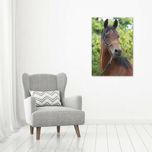 Tablou canvas Portret de un cal
