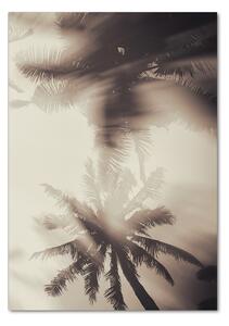 Tablou sticlă palmieri