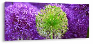Tablou cu floare (120x50 cm)