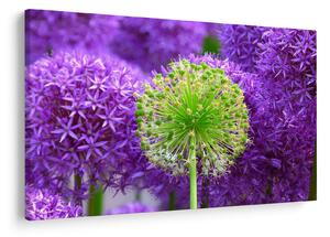 Tablou cu floare (90x60 cm)
