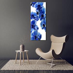 Tablou pe pe sticlă albastru orhidee