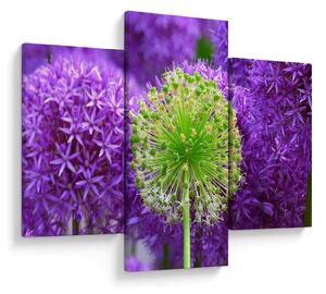 Tablou cu floare (90x60 cm)