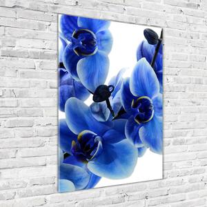 Tablou pe pe sticlă albastru orhidee