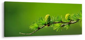 Tablou con verde (120x50 cm)