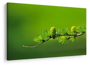 Tablou con verde (90x60 cm)