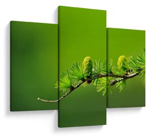 Tablou con verde (90x60 cm)