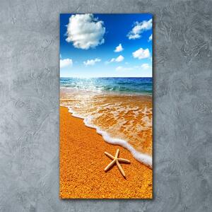 Tablou pe sticlă acrilică Starfish pe plajă