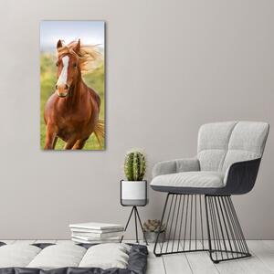 Imprimare tablou canvas Un cal în galop
