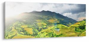 Tablou plantație (120x50 cm)