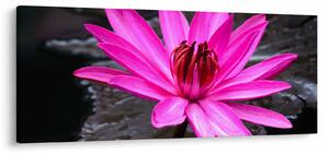 Tablou - floarea roz (120x50 cm)