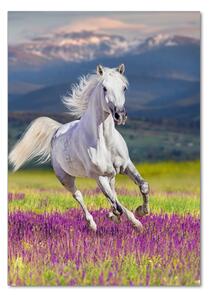 Imagine de sticlă cal alb în galop