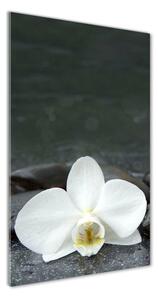 Imagine de sticlă pietre orhidee