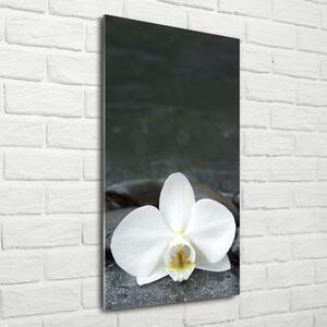 Imagine de sticlă pietre orhidee