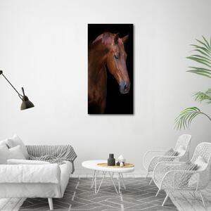 Tablou canvas Portret de un cal
