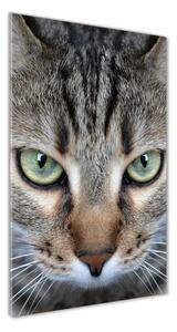 Imagine de sticlă ochi de pisica