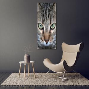 Imprimare tablou canvas ochi de pisica