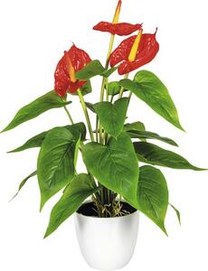 Plantă artificială Anthurium, H 40 cm, roșu