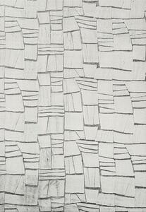 Covor pufos Solevito Romance Cutout Mix gri 160x230 cm