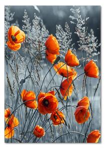 Imagine de sticlă wildflowers maci