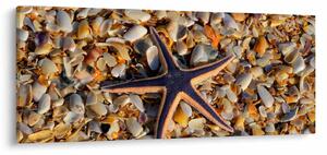 Tablou cu stea de mare (120x50 cm)