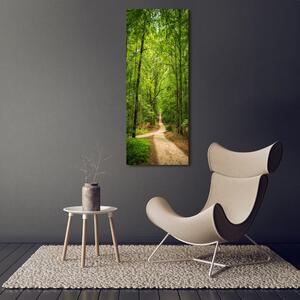 Tablou canvas Calea în pădure
